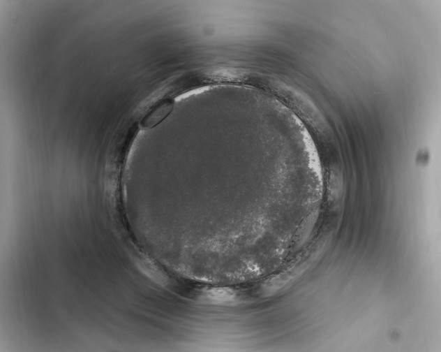 X0000101980409200808151406