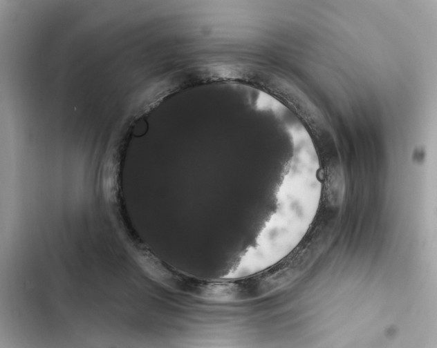 X0000101980410200808151406