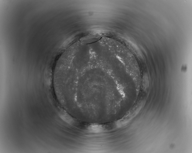 X0000101980413200808151406