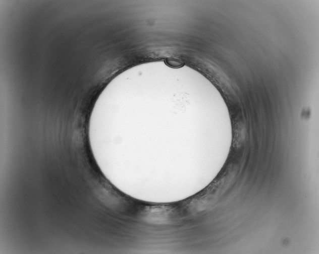 X0000101980414200808151406