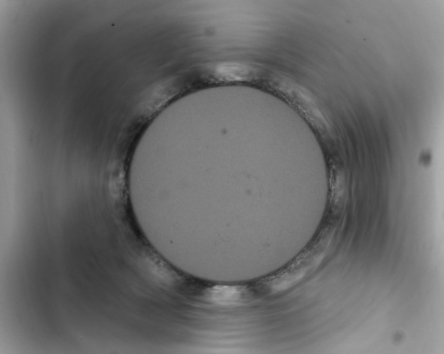 X0000101980418200808151406