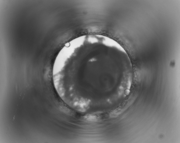 X0000101980419200808151406