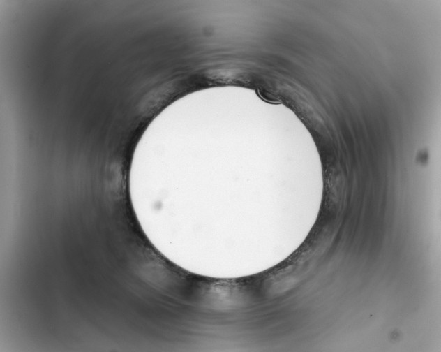 X0000101980420200808151406