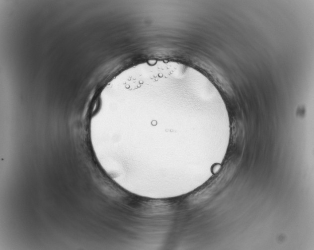 X0000101980421200808151406