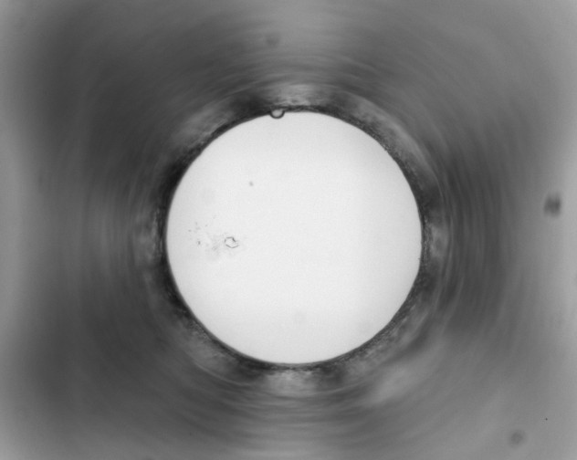 X0000101980422200808151406