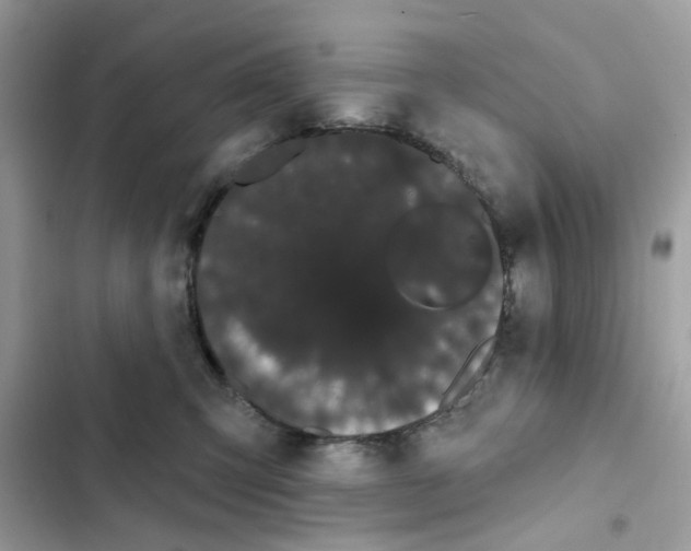 X0000101980423200808151405