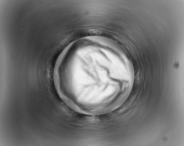 X0000101980424200808151405