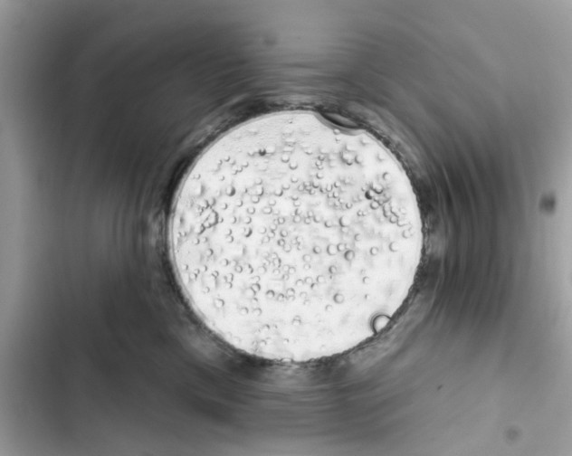 X0000101980425200808151405