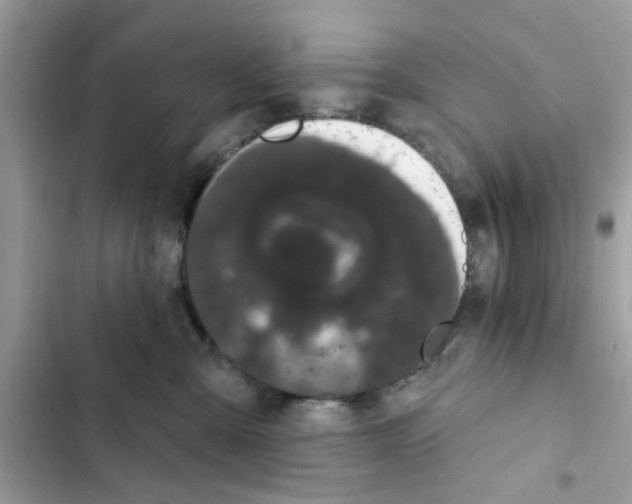 X0000101980427200808151405