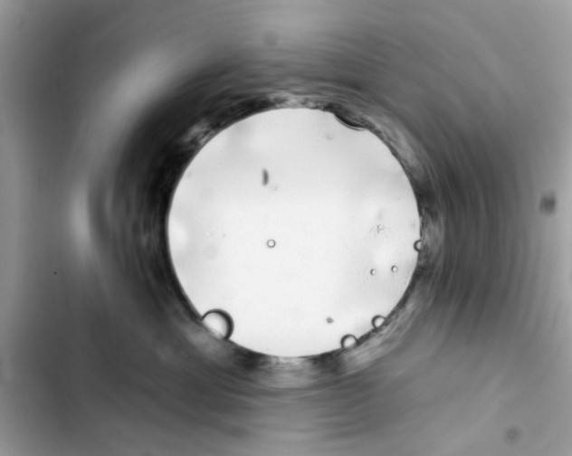 X0000101980429200808151405