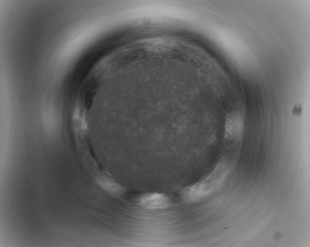 X0000101980431200808151405