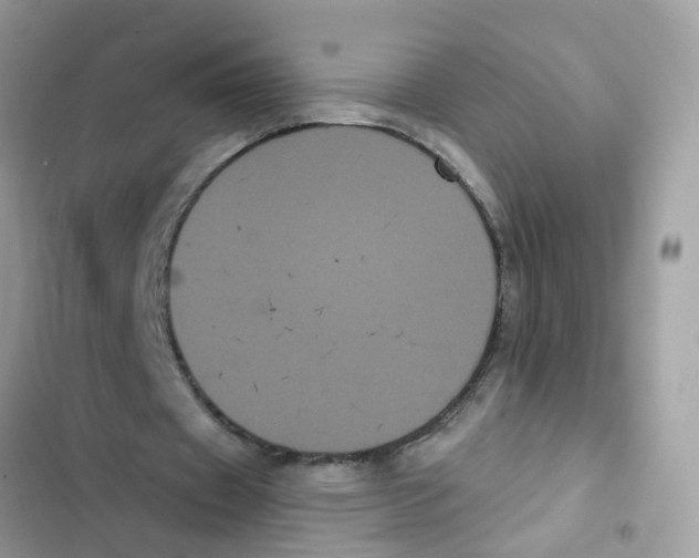 X0000101980433200808151405