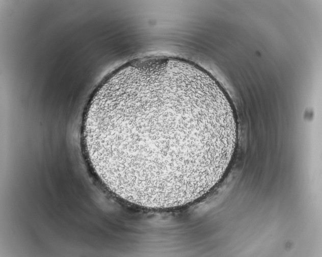 X0000101980434200808151405