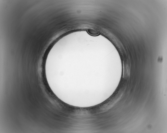 X0000101980435200808151405