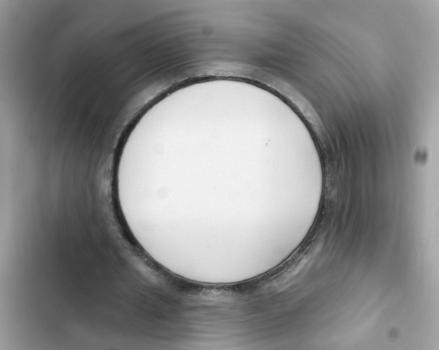 X0000101980437200808151405