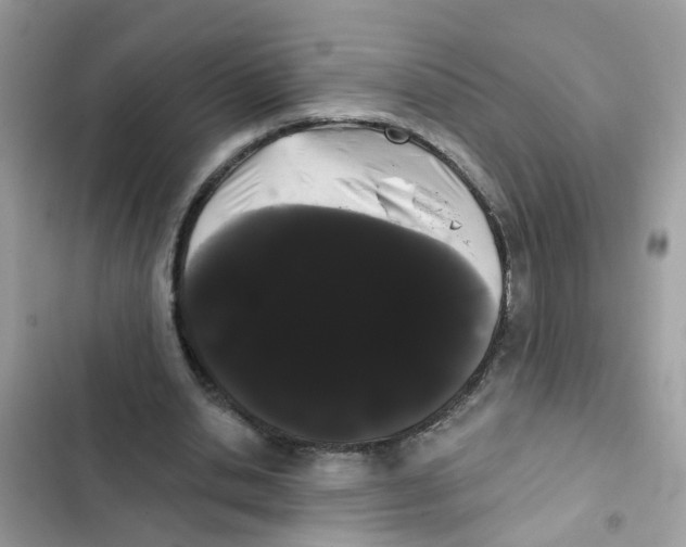 X0000101980438200808151405