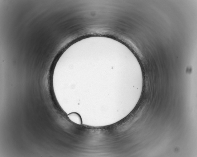 X0000101980439200808151405