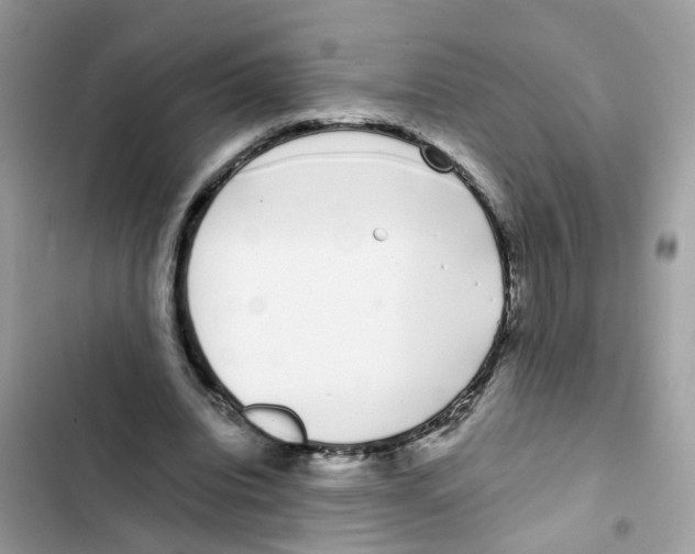 X0000101980440200808151405