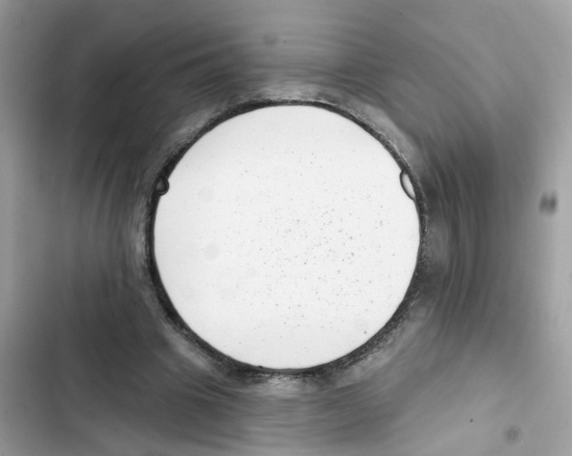 X0000101980441200808151405