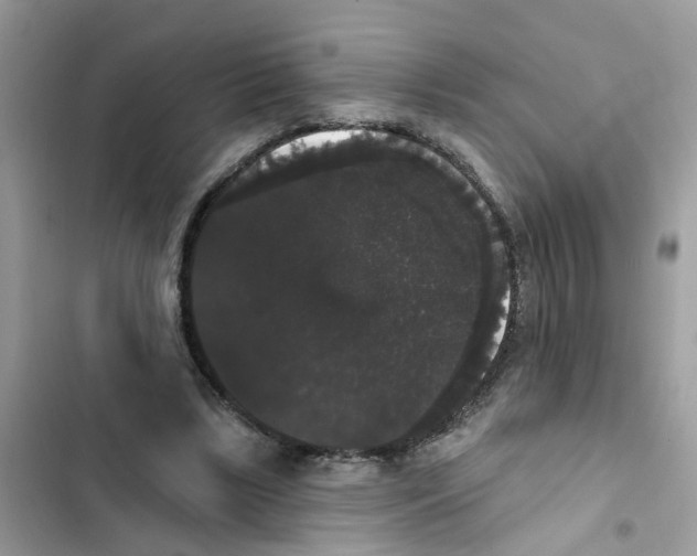 X0000101980443200808151405