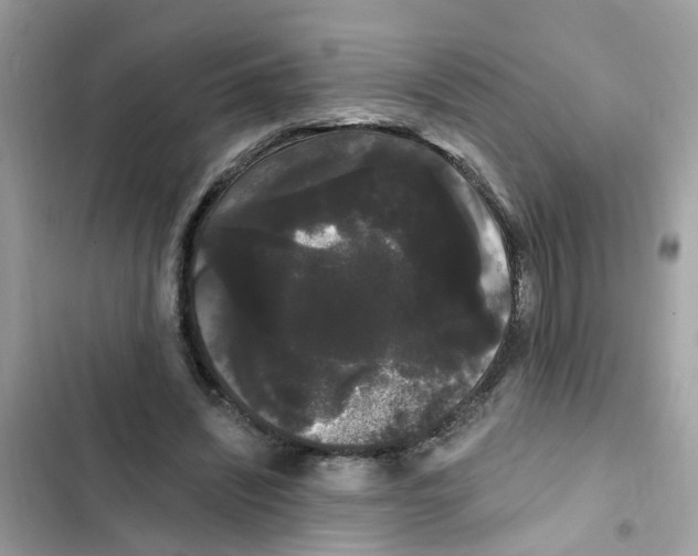 X0000101980444200808151405