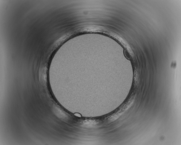 X0000101980445200808151405