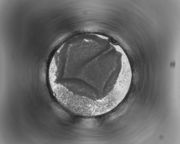 X0000101980446200808151405