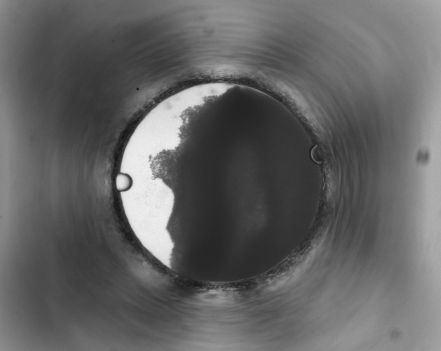 X0000101980447200808151405