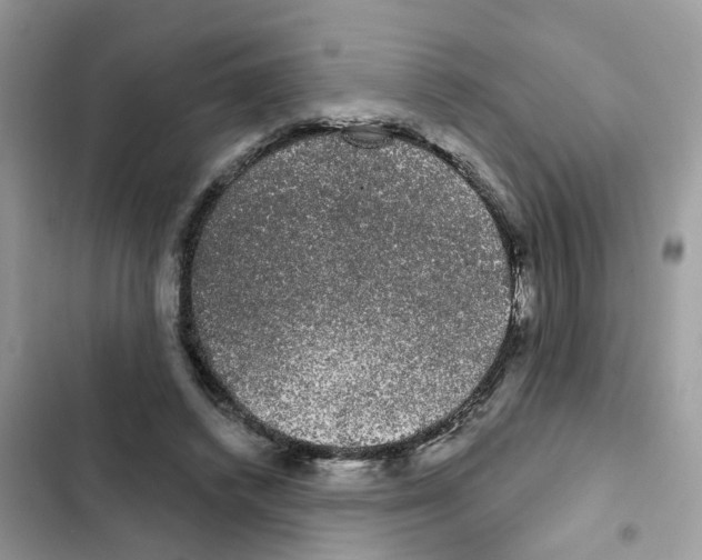 X0000101980448200808151405