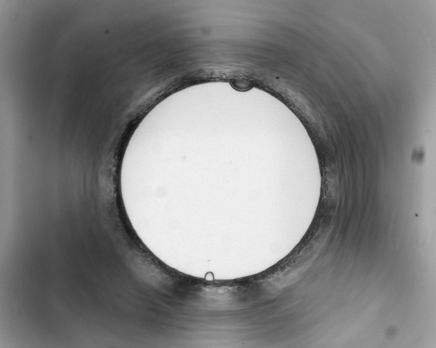 X0000101980450200808151405