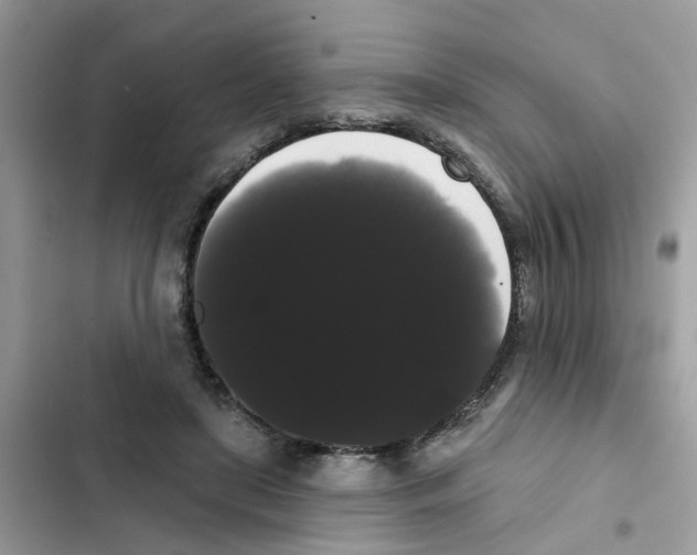 X0000101980451200808151405