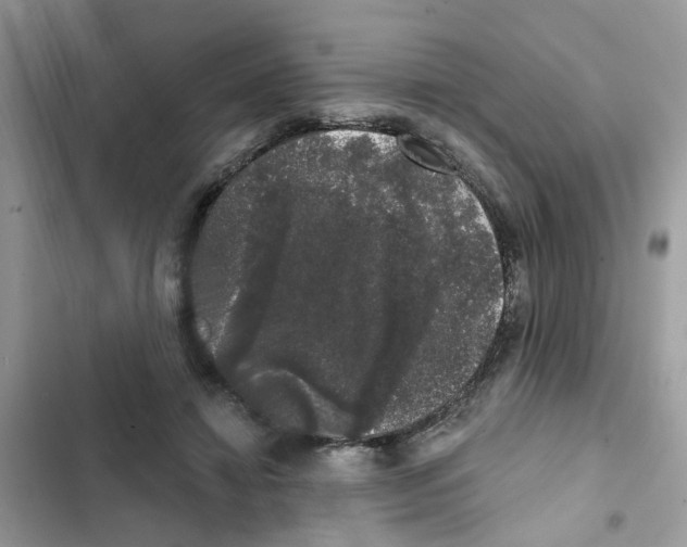 X0000101980452200808151405