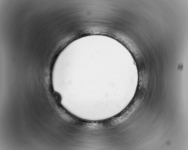 X0000101980453200808151405