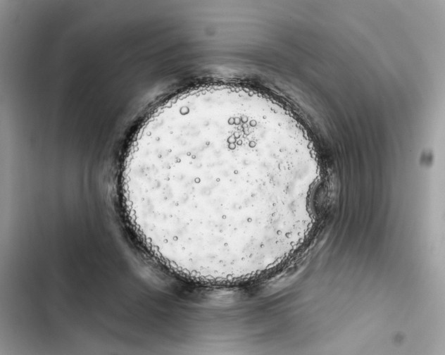 X0000101980456200808151405