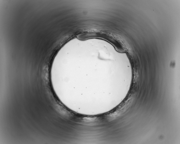 X0000101980457200808151405