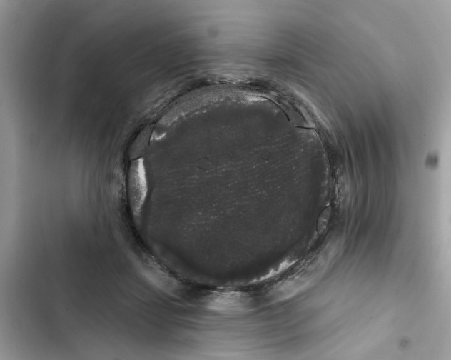 X0000101980459200808151405