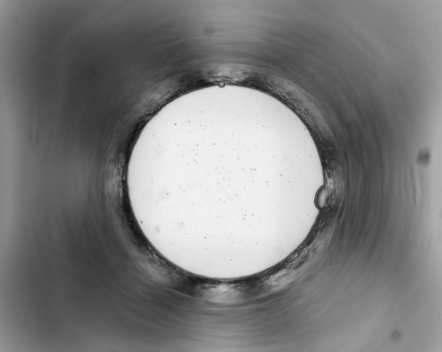 X0000101980460200808151405