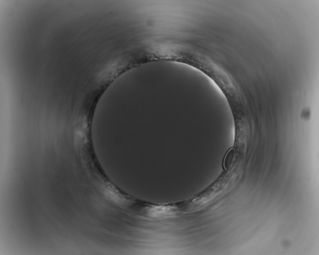 X0000101980465200808151405