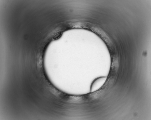 X0000101980469200808151405