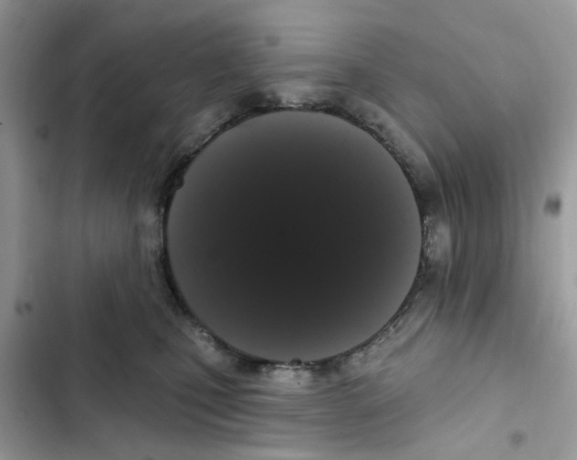 X0000101980471200808151405