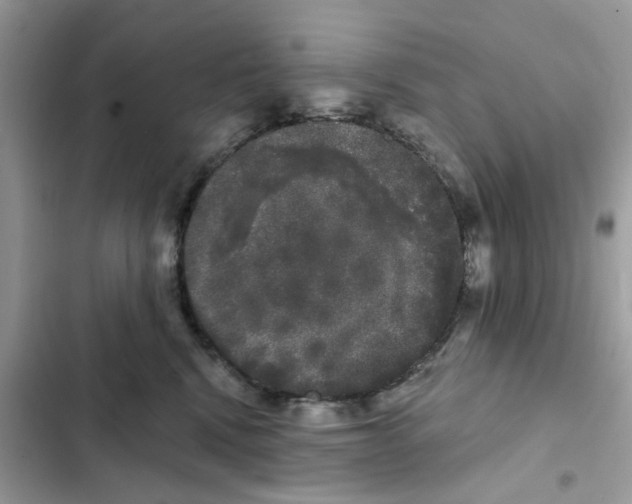 X0000101980472200808151405