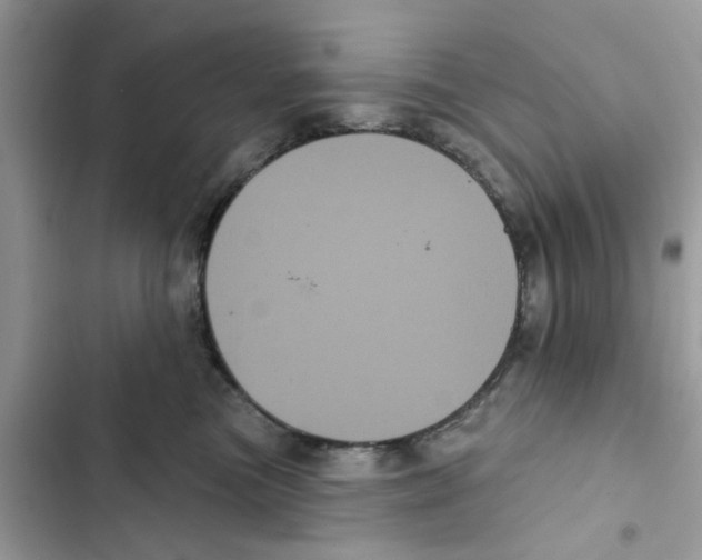 X0000101980473200808151405