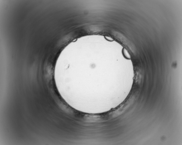 X0000101980476200808151405