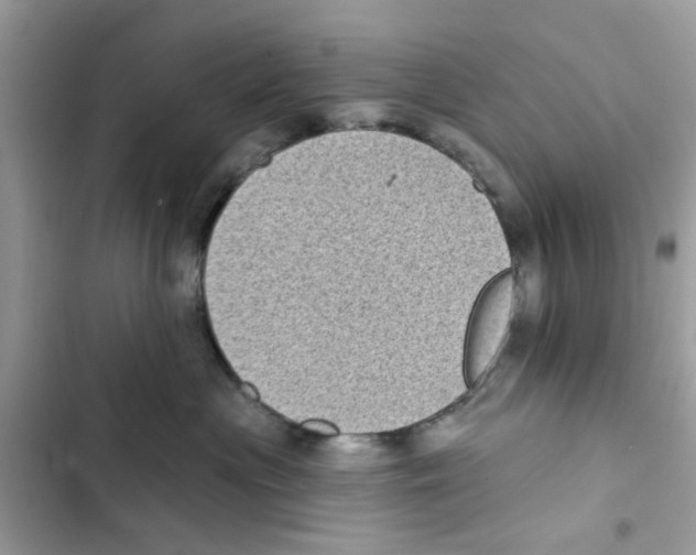 X0000101980477200808151405