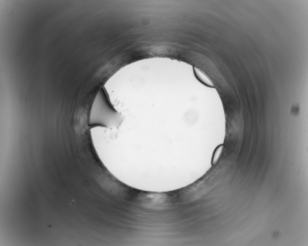 X0000101980478200808151405