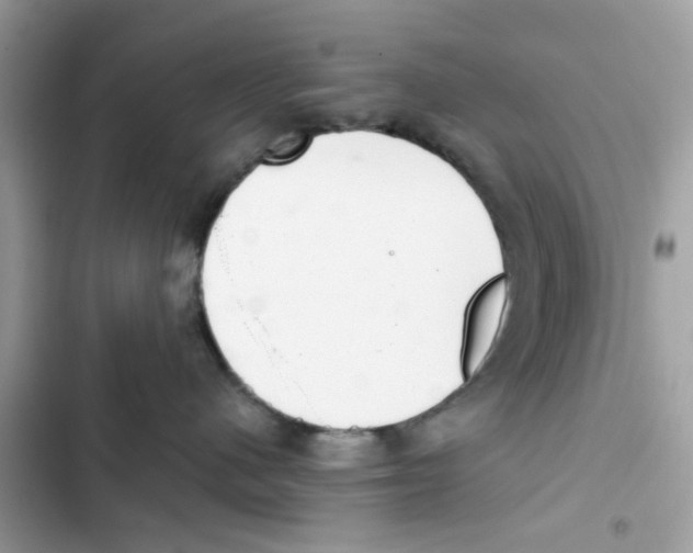 X0000101980480200808151405