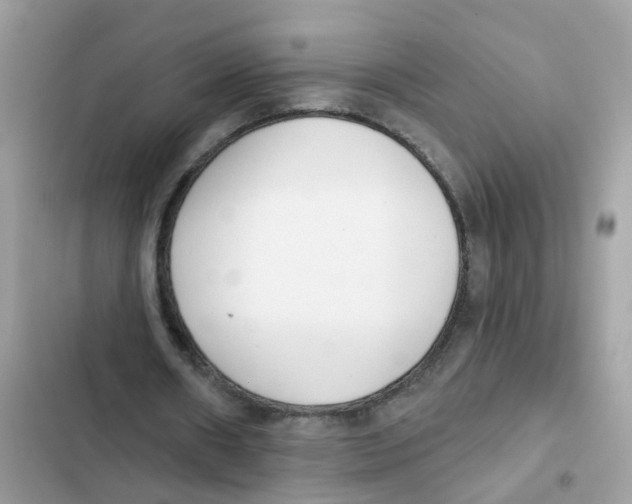 X0000101980482200808151405