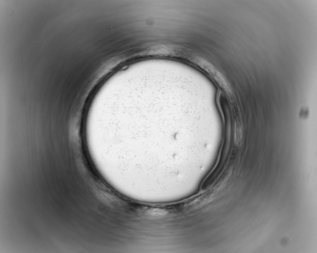 X0000101980483200808151405