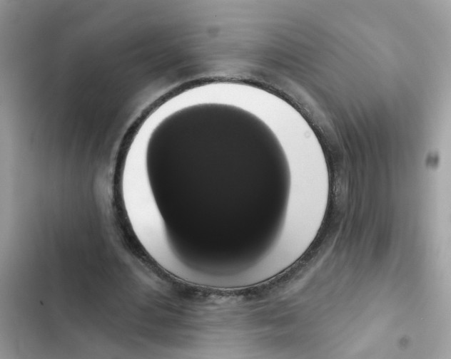 X0000101980484200808151405