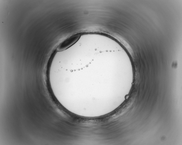 X0000101980485200808151405